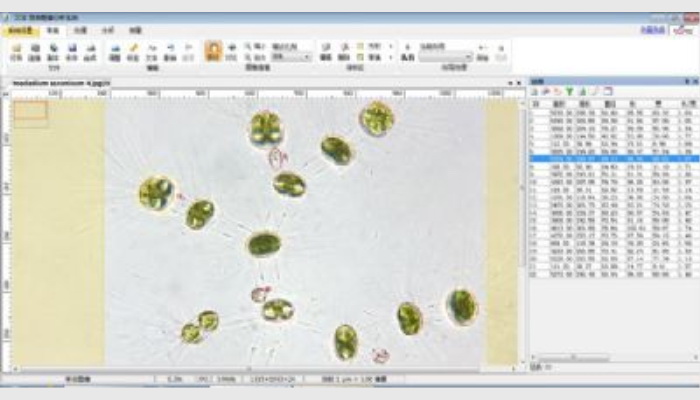 AlgaeC型浮游生物(藻類、浮游動物)智能鑒定計數儀