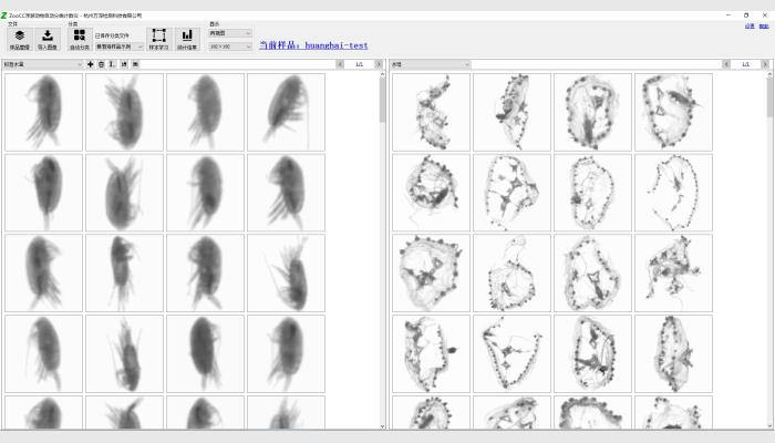 ZooCC浮游動物自動分類計(jì)數(shù)儀,浮游動物圖像掃描分析系統(tǒng),浮游動物分析儀,浮游動物計(jì)數(shù)儀