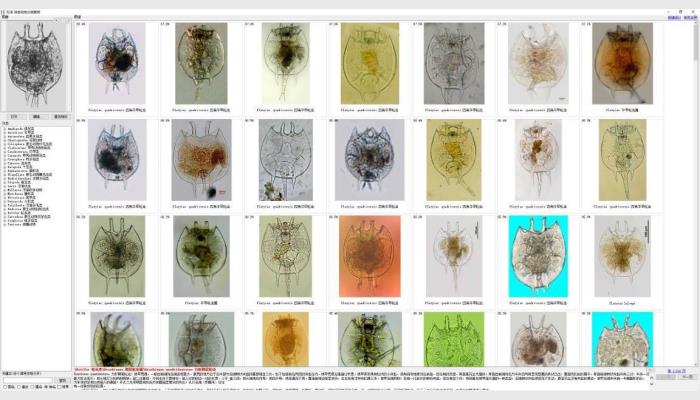 AlgaeC型浮游生物智能鑒定計數儀,藻類分析儀,藻類計數儀